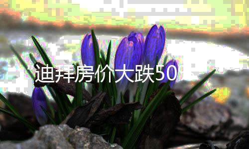 “迪拜房价大跌50%”?不属实!部分中东家族办公室已火速赴港,全球投资者的置业逻辑变了?