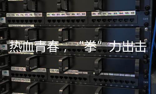 热血青春,“拳”力出击 江泰天宇功夫集市青少年搏击擂台赛圆满落幕