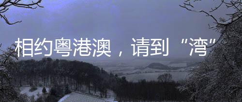 相约粤港澳,请到“湾”里来——写在十五运会开幕倒计时100天之际