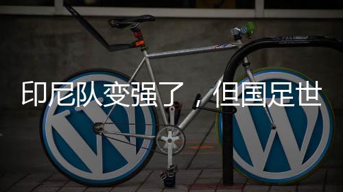 印尼队变强了,但国足世预赛有机会——专访北京国安荷兰籍外教杰森