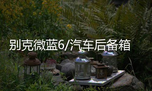 别克微蓝6/汽车后备箱改装专用隔板装饰隔物板收纳配件储物箱整理