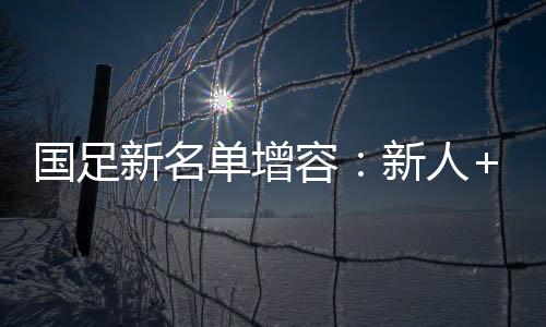 国足新名单增容:新人+归化 31人入选“伊万一期”