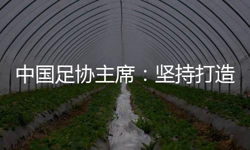 中国足协主席:坚持打造亚洲一流联赛和百年俱乐部