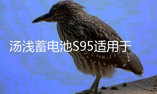 汤浅蓄电池S95适用于16款奥德赛艾力绅汉兰达凯美瑞原装启停电瓶