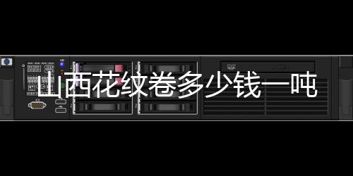 华为多功能智真RP100