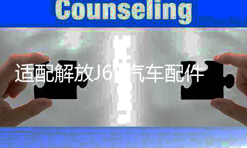 适配解放J6P汽车配件j6驾驶室电动油泵电机举升泵底座油封修理包