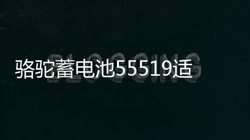 骆驼蓄电池55519适配福克斯传祺赛欧名爵汽车电瓶55ah 以旧换新