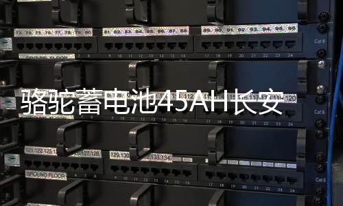 骆驼蓄电池45AH长安之星2/3东方小康K17/C37小面包车原装汽车电瓶