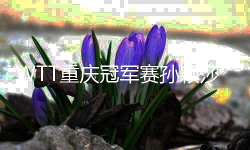 WTT重庆冠军赛孙颖莎、樊振东夺冠,国乒将封闭备战奥运